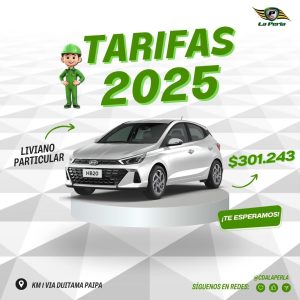 WhatsApp Image 2025-10-03 at 6.20.57 PM (1)